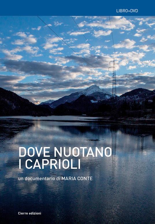 Ordine degli Architetti P.P.C. di Roma e provincia 