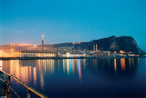 Torino Film Festival 2008: 