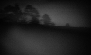 Torino Film Festival 2008: La misteriosa 