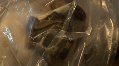 Note di regia del documentario 