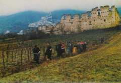 Carlo Lizzani a 