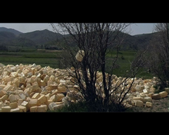 Tutti i documentari del Concorso Cortometraggi della 50 edizione del Festival dei Popoli
