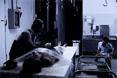 Note di regia del film 