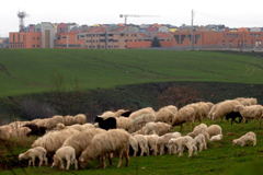 Proiezioni a Roma per 