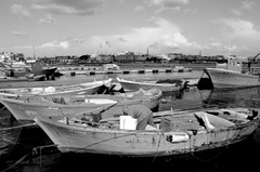 Note di regia del documentario 