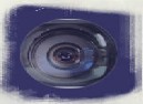 I vincitori del Festival Videocorto di Nettuno 2010