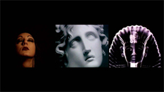 Note di regia del video 