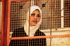I vincitori della 1 edizione di [CINEMA.DOC] - Il Documentario in Sala