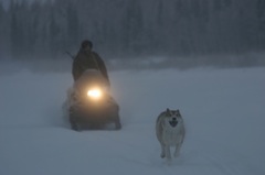 Trento Film Festival: Happy People, Werner Herzog e la taiga pi profonda