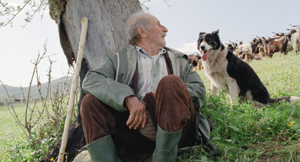 Bellaria film Festival 2011: il programma della prima giornata