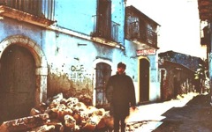 Cinemambiente 2011: 