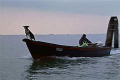 Sei Venezia di Carlo Mazzacurati per il Premio Ruggero Gamba all'Euganea Film Festival 2011