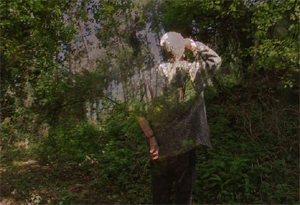 Festival di Locarno 2011: 