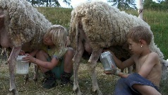 Montagne come terapia al XVII Film Festival della Lessinia