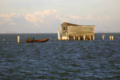 Grande successo a Venezia di 