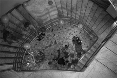 I vincitori di I've Seen Films 2011