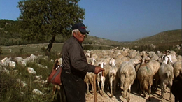 Note di regia del documentario 