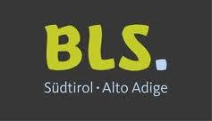 I vincitori  dello Script Lab della BLS