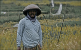 Note di regia del documentario 