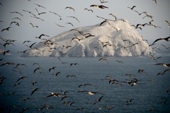 Humboldt Filmfestival: premiato 