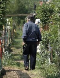 ORTOBELLO - Coltivare l'orto mantiene pi giovani