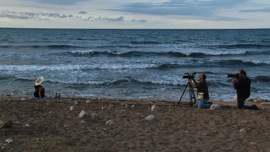 VENEZIA 69 - NOZZE D'AGOSTO, in sala arriva il 