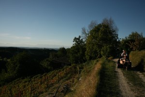 AIGUA, EUA, OIVA, AQUA - Le voci del Tanaro