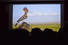 I vincitori del Gran Paradiso International Nature Film Festival 2013