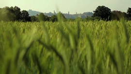 Note di regia del documentario 