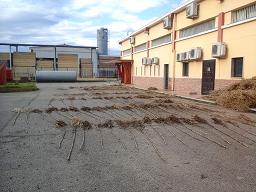 Inaugurazione del Cineporto di Foggia