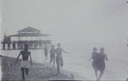 VACANZE AL MARE - Le ferie dellhomo litoralis
