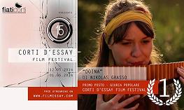 I vincitori di Corti dEssay 2014