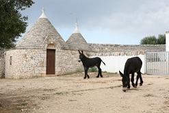 I cortometraggi in gara alla prima edizione di Apulia Film Festival