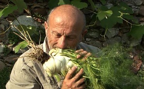 Ambiente-Incontri torna il 12 e il 13 agosto a Sacile a ventanni di distanza