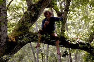LOCARNO 67 - 