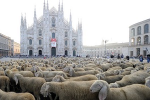 Prosegue il successo de 