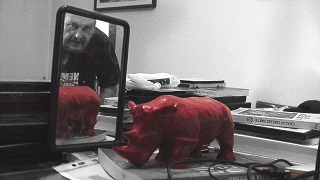 Una serata a Torino per il documentario 
