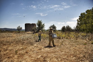 Green Cross: Cinema e sostenibilit, connubio vicino