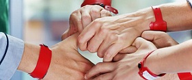 6 milioni 500 mila telespettatori per l'ultimo appuntamento di 