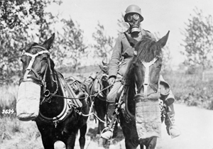 ANIMALI NELLA GRANDE GUERRA - Per il 24 maggio