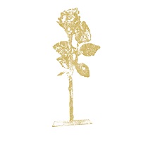 I vincitori dell'edizione 2015 del Premio Simpatia