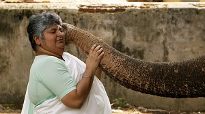 A Milano un Focus sull'India in tre film