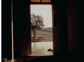 I film in concorso alla 9a edizione del SalinaDocFest