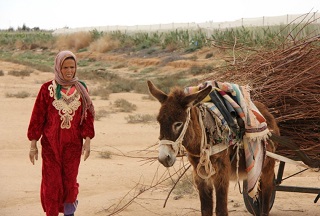 ViaEmili@DocFest 2015 - Il megafono di 