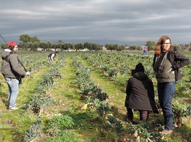 Note di regia delle serie documentaria 