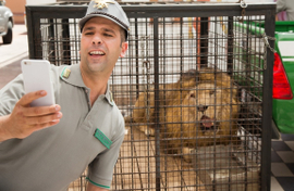 Checco Zalone e 