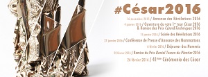 CESAR 41 - Il palmares