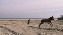 CINEMA DU REEL 38 - Il Caff si Beve Bestemmiando: la fantasia come forza vivificatrice