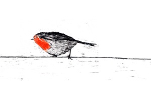ANIMAV - Festival Internazionale del Cinema danimazione poetico