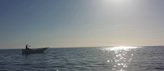 Parte da Porto Cesareo ledizione 2016 del Clorofilla Film Festival